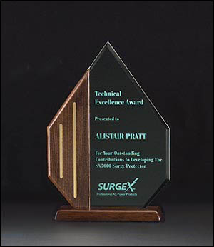 Acrylic Award