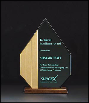 Acrylic Award